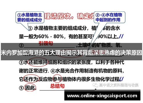 米内罗加盟海港的五大理由揭示其背后深思熟虑的决策原因