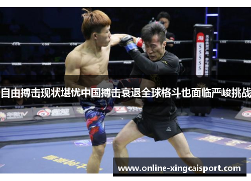 自由搏击现状堪忧中国搏击衰退全球格斗也面临严峻挑战