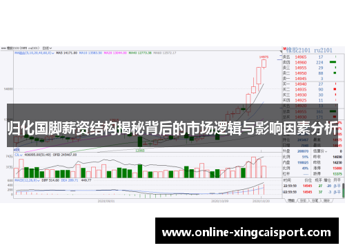 归化国脚薪资结构揭秘背后的市场逻辑与影响因素分析