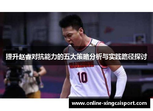 提升赵睿对抗能力的五大策略分析与实践路径探讨