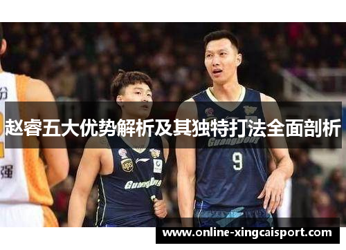 赵睿五大优势解析及其独特打法全面剖析