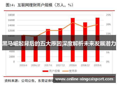 黑马崛起背后的五大原因深度解析未来发展潜力